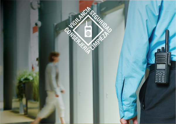 Sistemas de vigilancia